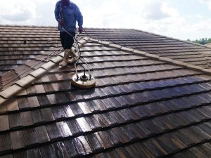 Roof Cleaning Service