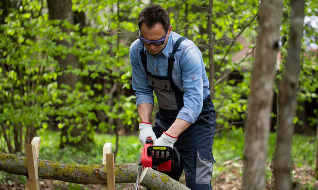 tree surgeon stocport

