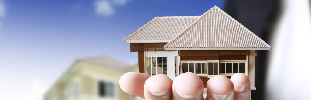 Real Estate Agent